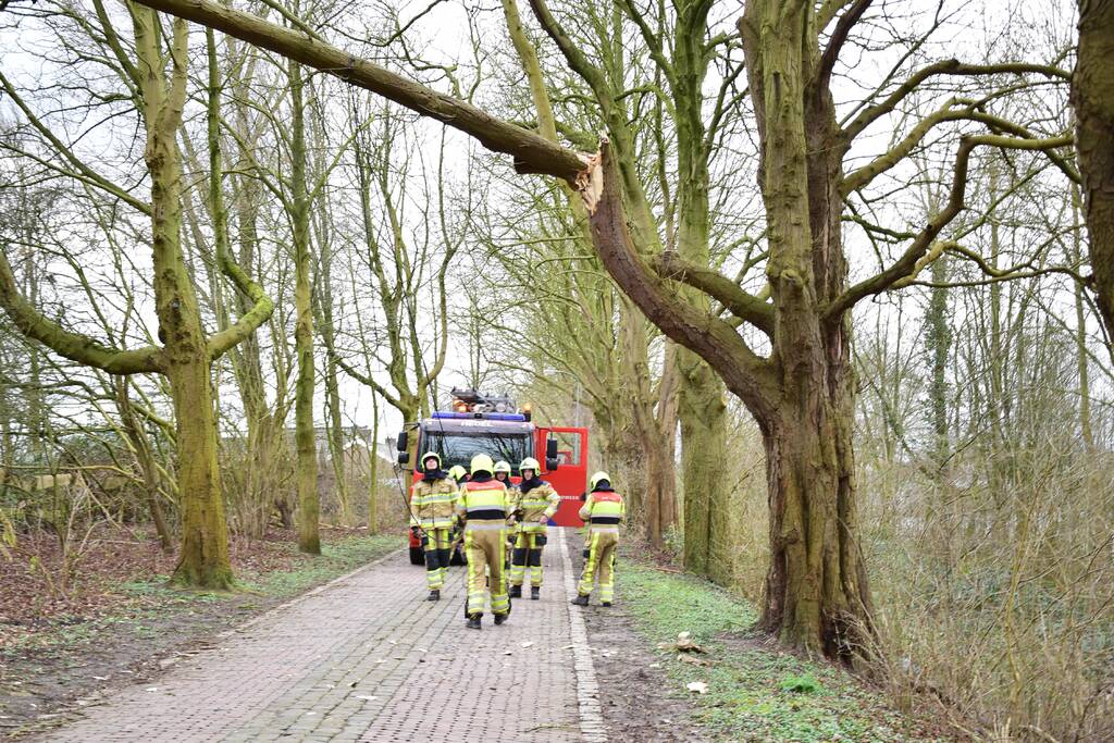 Deel van boom afgebroken door storm