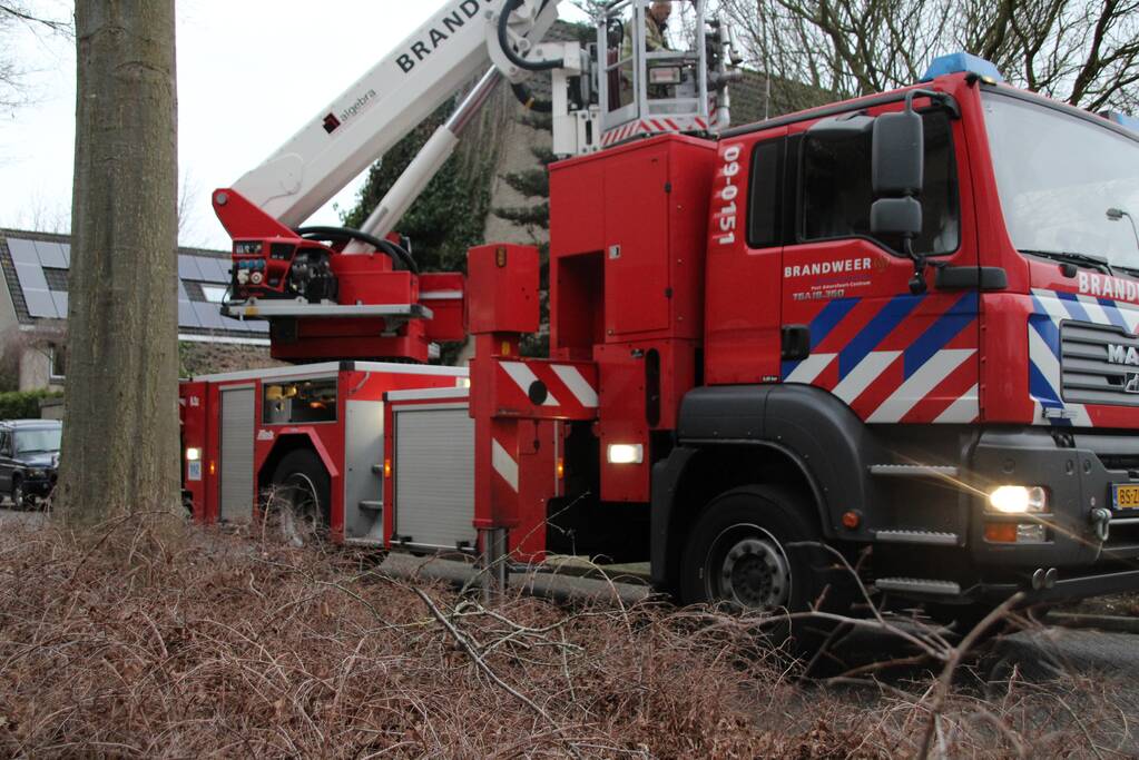 Loshangende takken zorgen voor gevaarlijke situaties