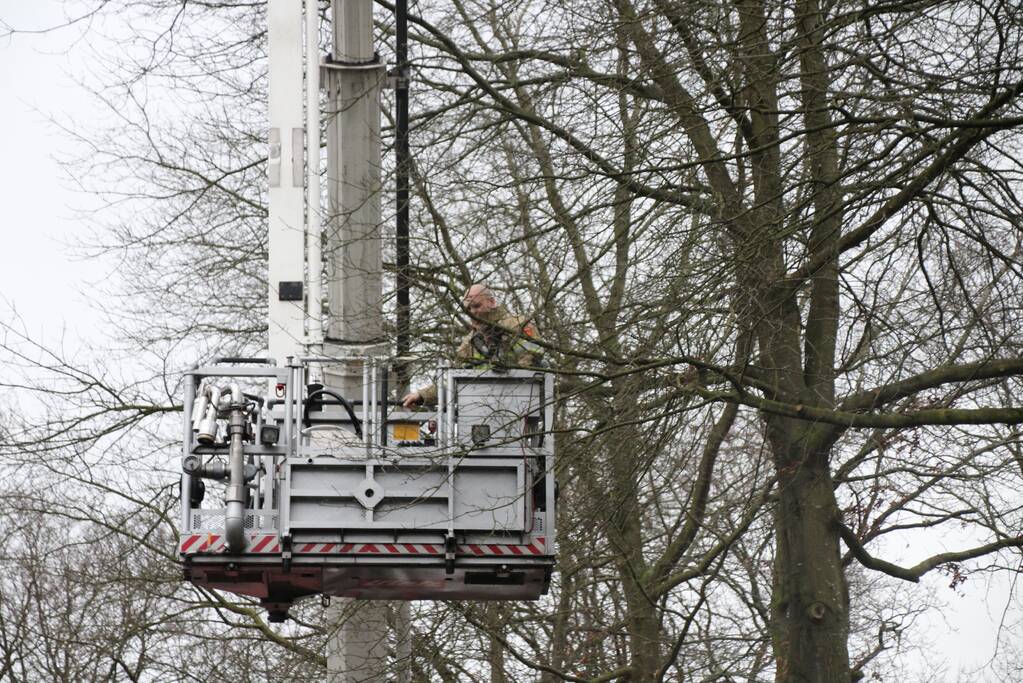 Loshangende takken zorgen voor gevaarlijke situaties