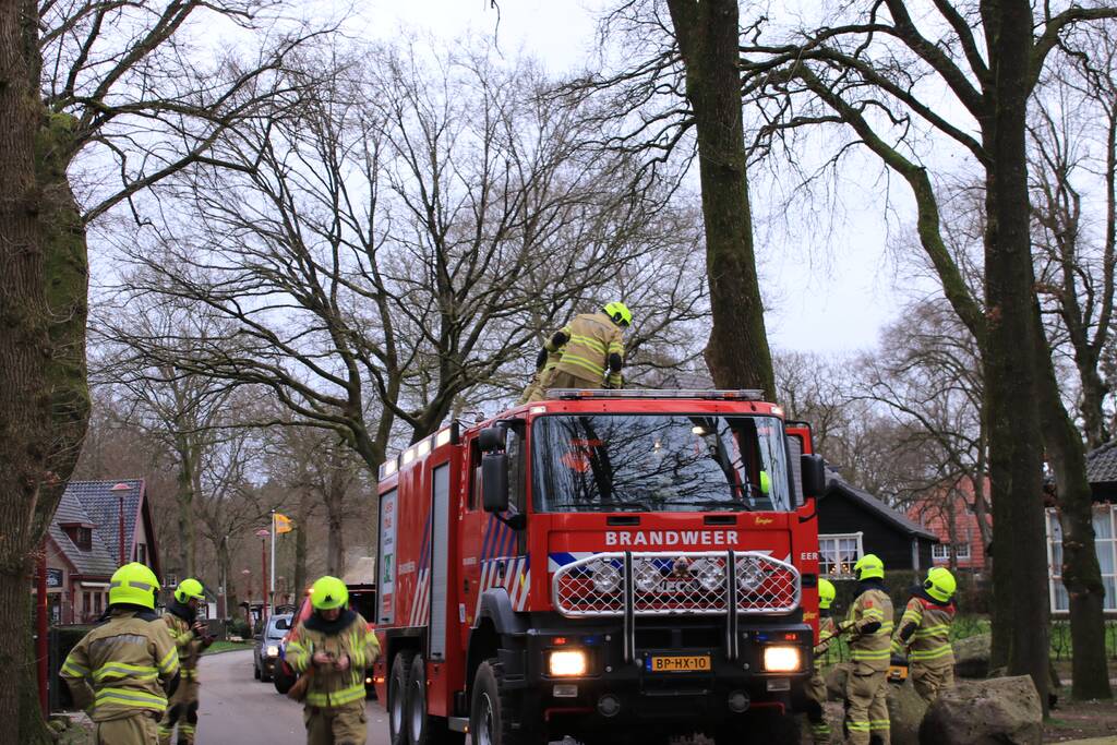 Halsbrekende toeren om tak boven de weg te verwijderen