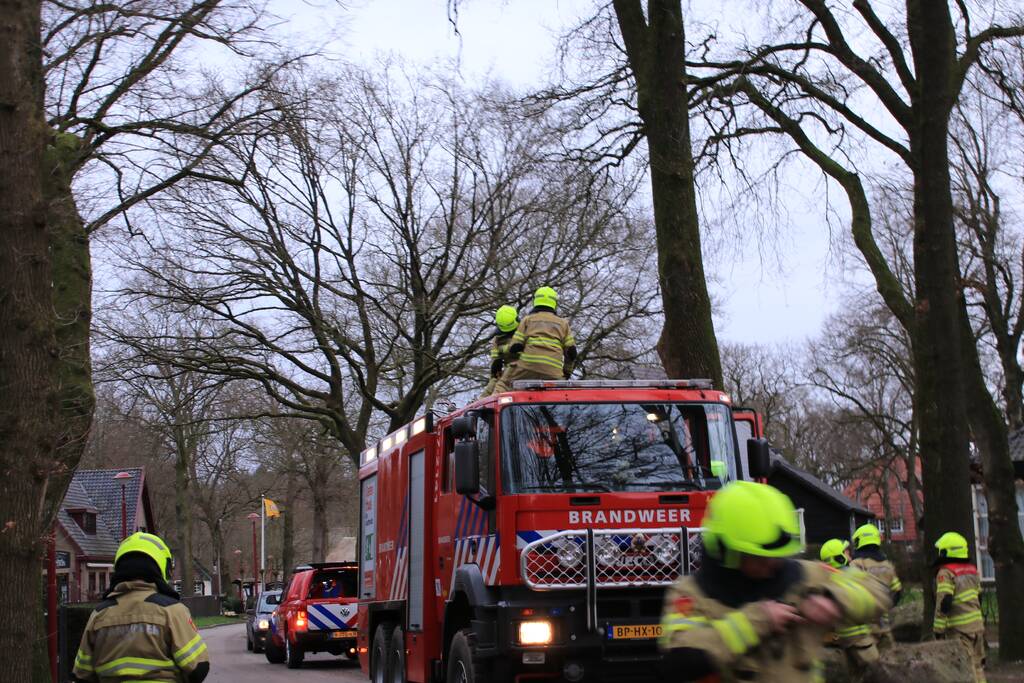 Halsbrekende toeren om tak boven de weg te verwijderen