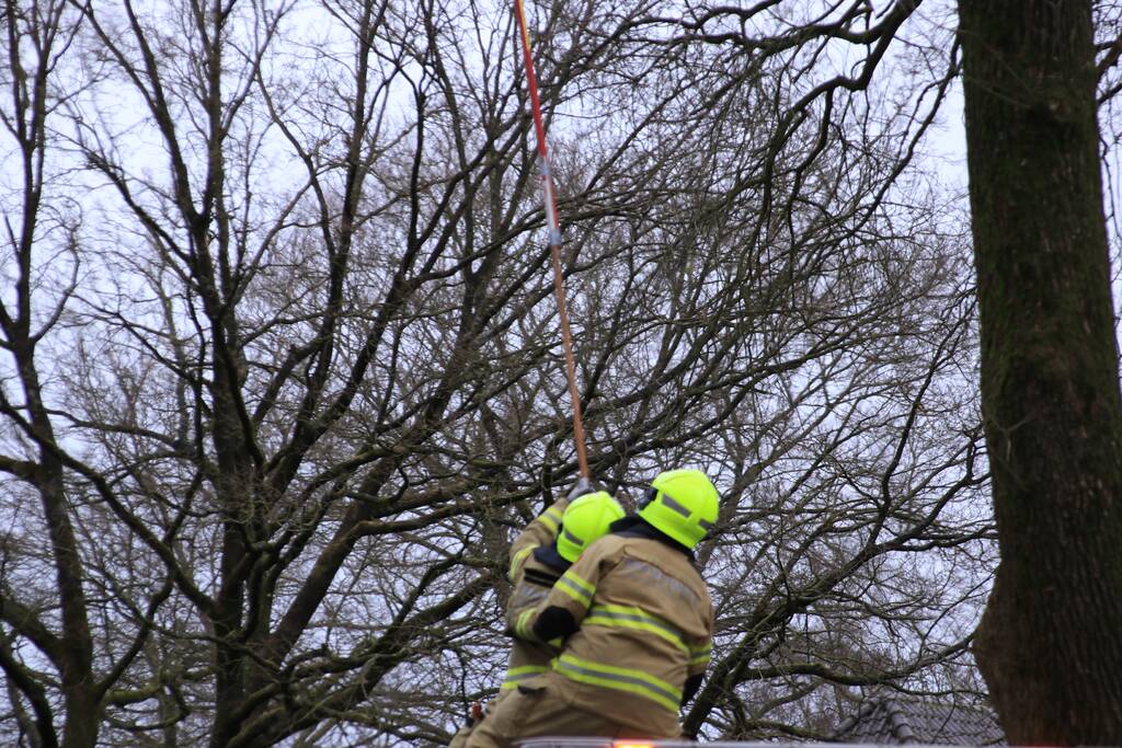 Halsbrekende toeren om tak boven de weg te verwijderen