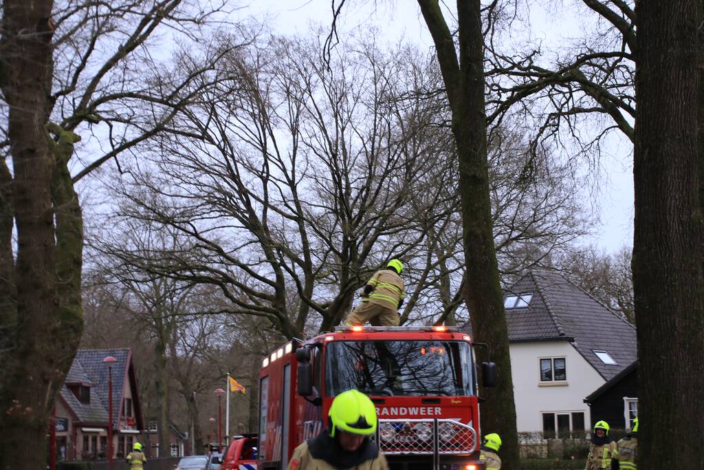 Halsbrekende toeren om tak boven de weg te verwijderen