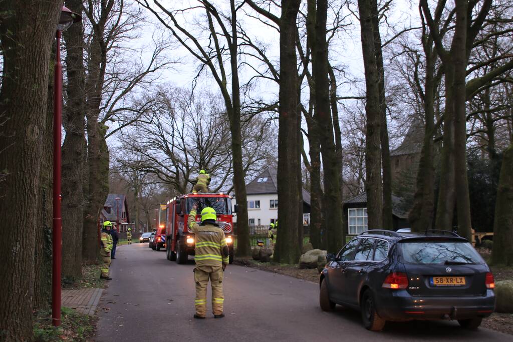 Halsbrekende toeren om tak boven de weg te verwijderen