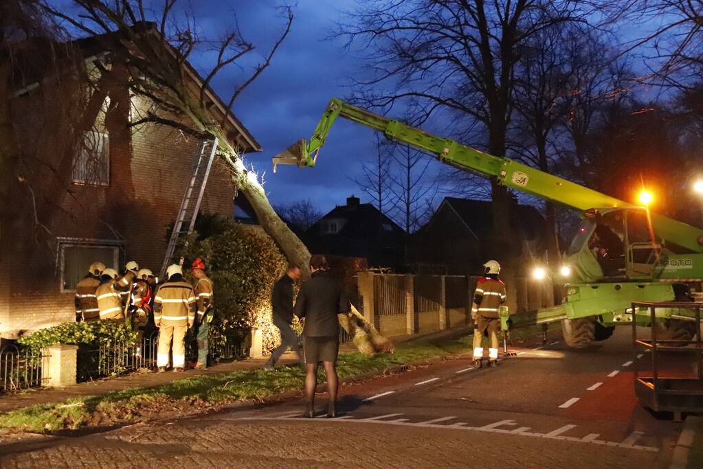 Grote boom valt op woning