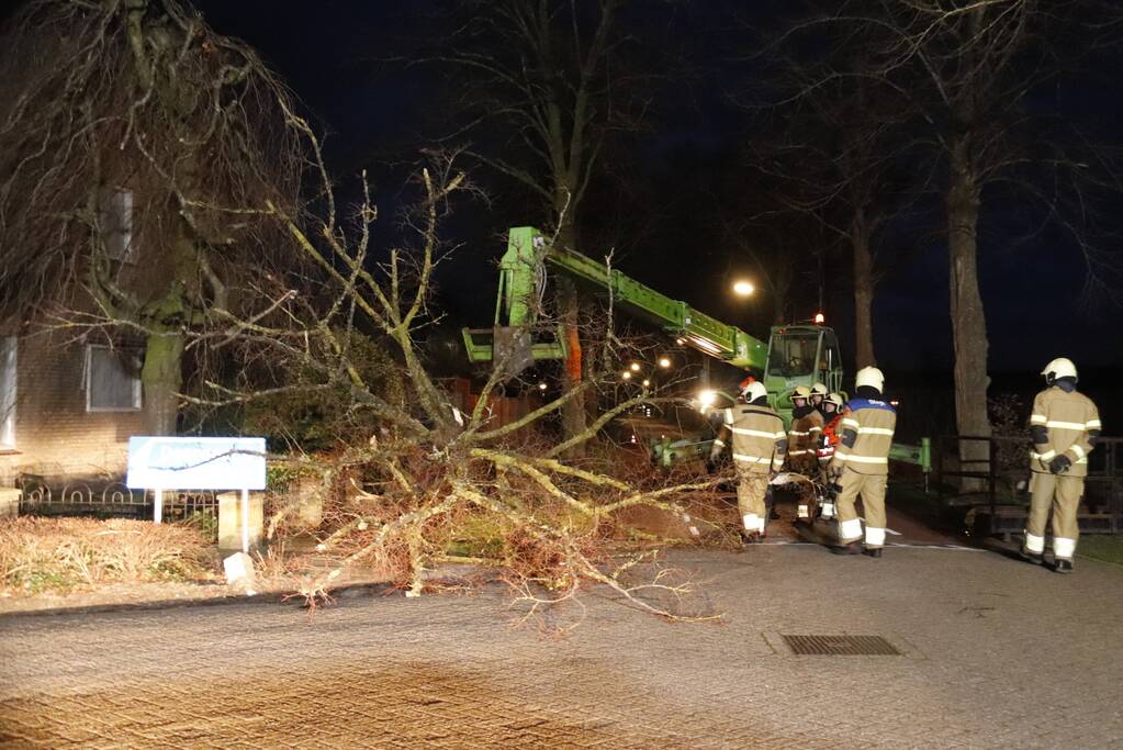 Grote boom valt op woning