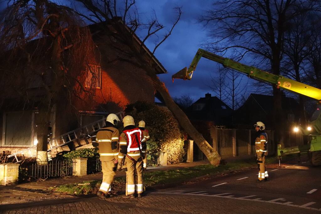 Grote boom valt op woning