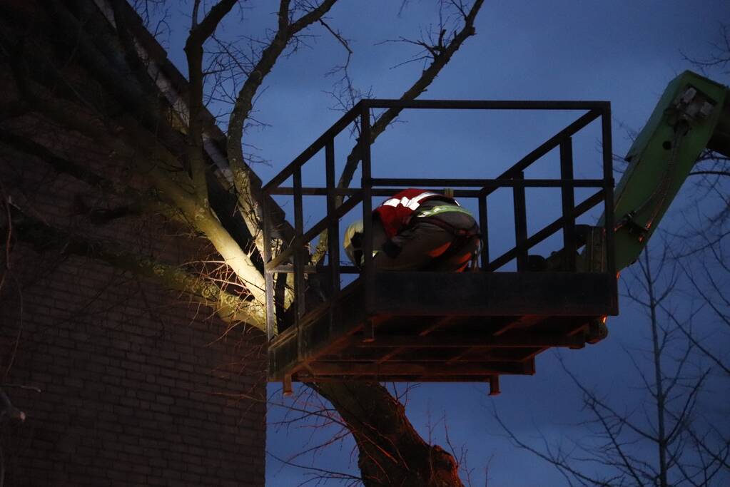 Grote boom valt op woning