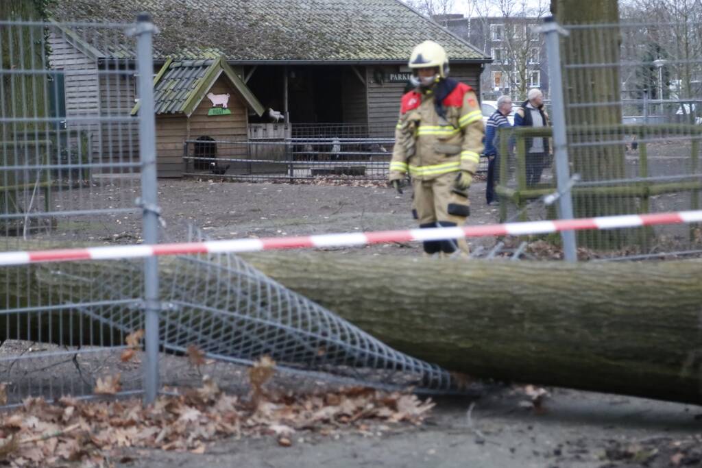 Boom valt door hekwerk van dierenverblijf