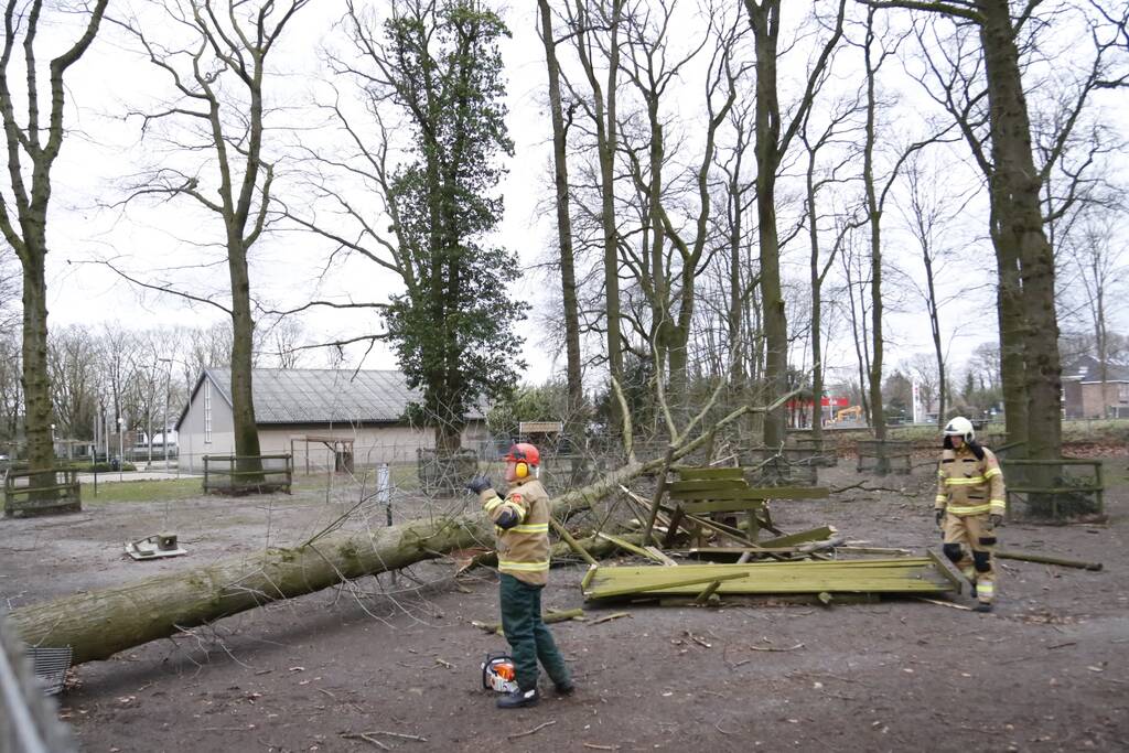 Boom valt door hekwerk van dierenverblijf