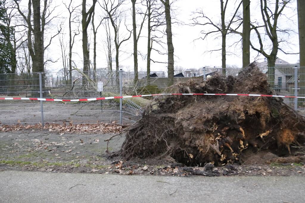 Boom valt door hekwerk van dierenverblijf