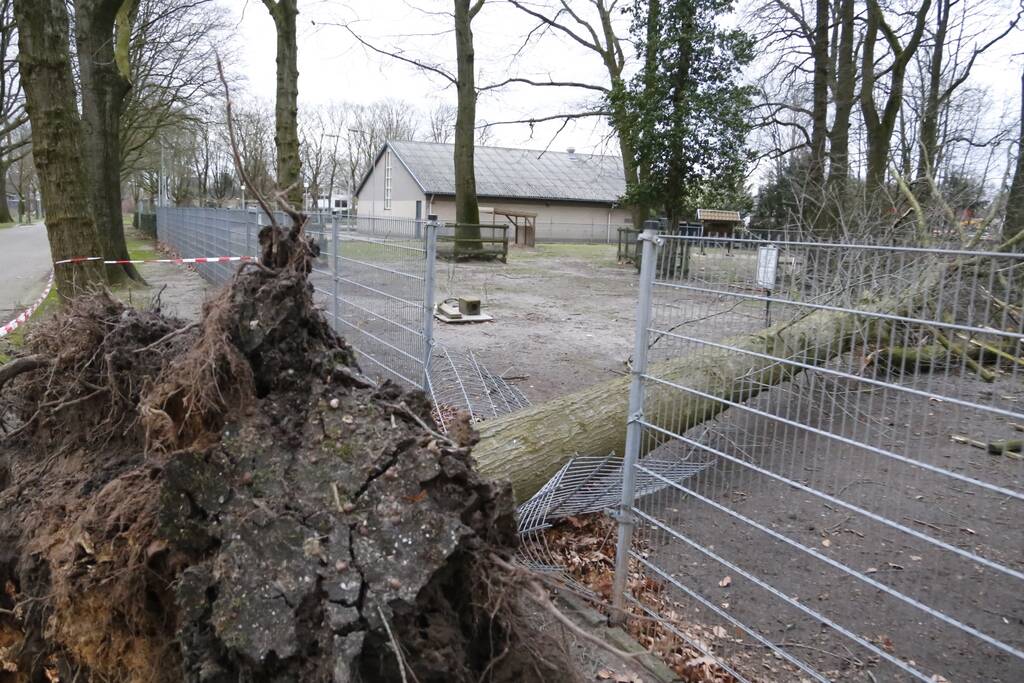 Boom valt door hekwerk van dierenverblijf