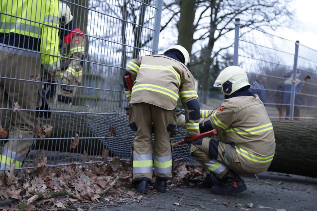 Boom valt door hekwerk van dierenverblijf