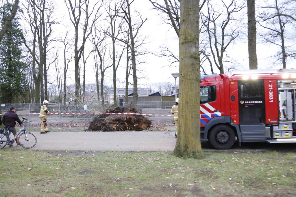 Boom valt door hekwerk van dierenverblijf