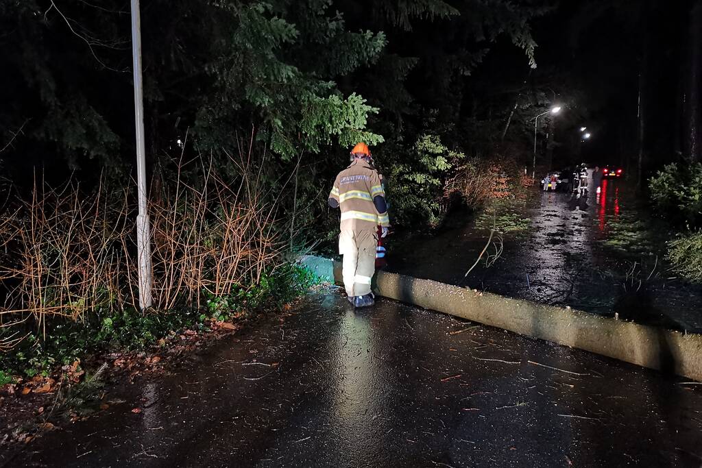 Boom breekt af en blokkeert weg