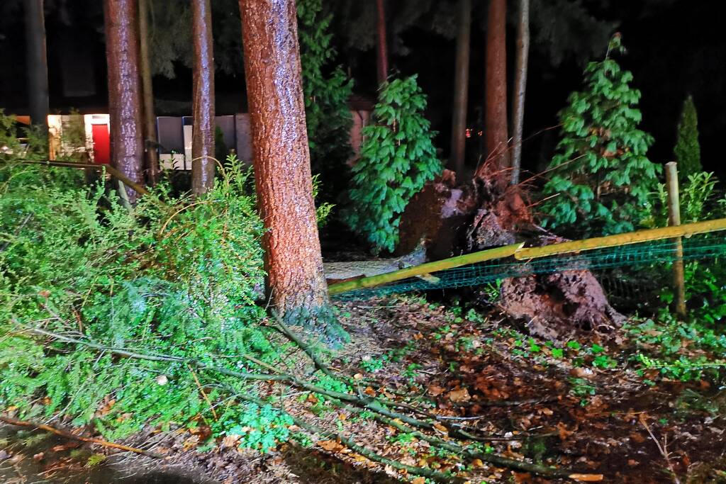 Boom breekt af en blokkeert weg