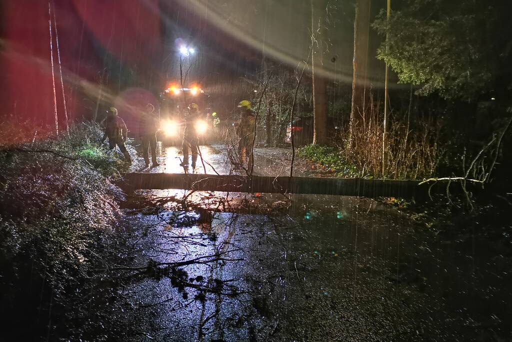 Boom breekt af en blokkeert weg