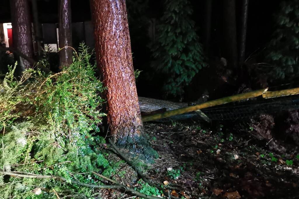 Boom breekt af en blokkeert weg