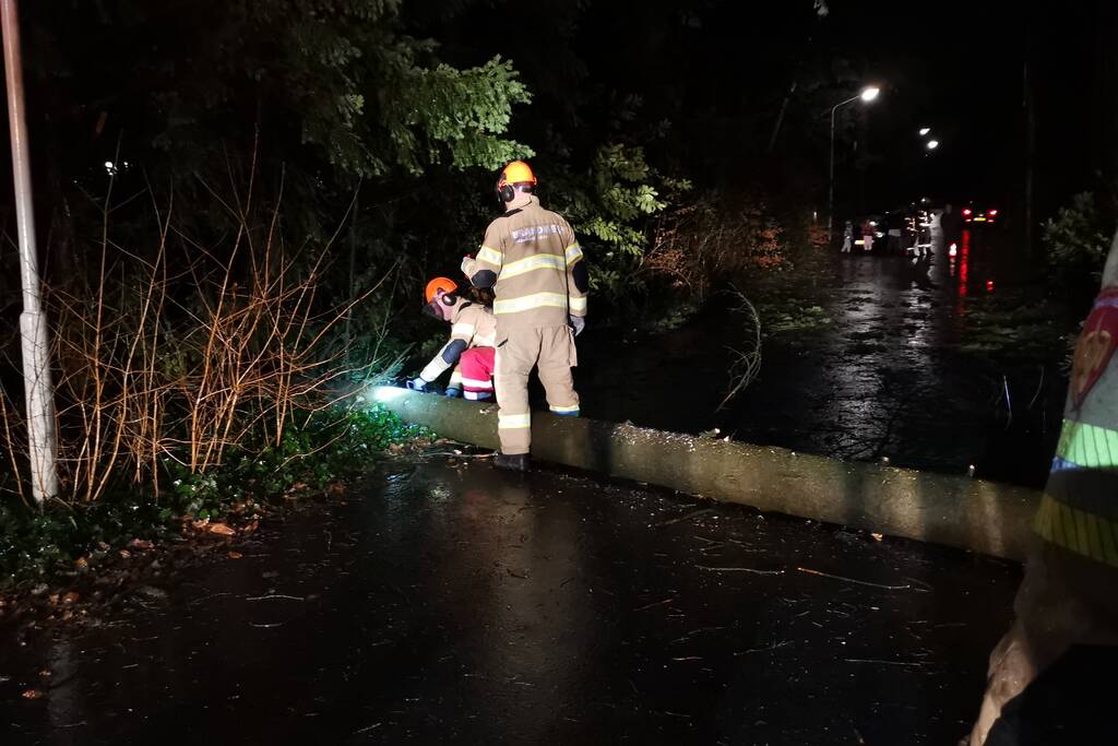Boom breekt af en blokkeert weg
