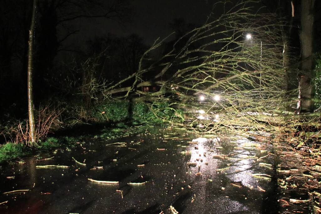 Afgebroken boom verspert weg