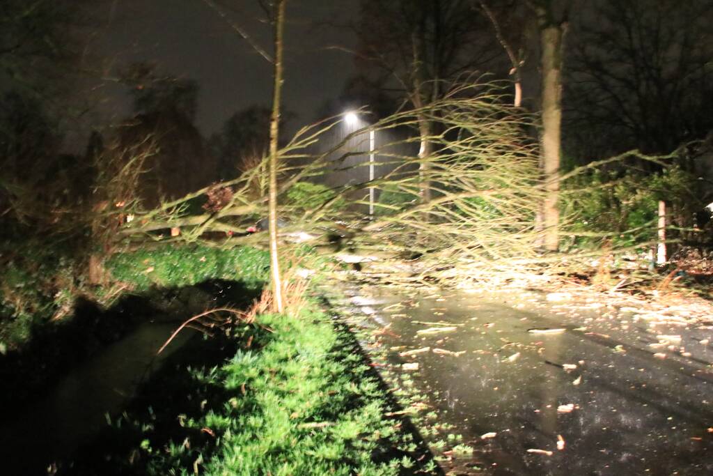 Afgebroken boom verspert weg