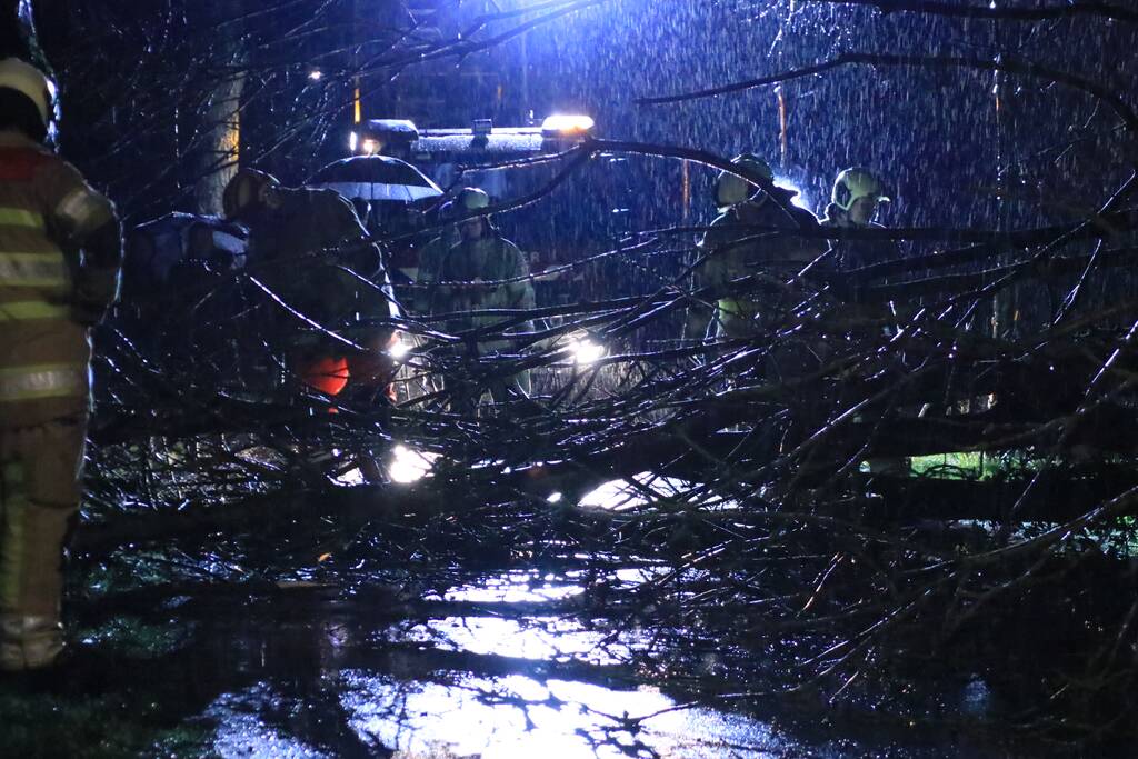Afgebroken boom verspert weg