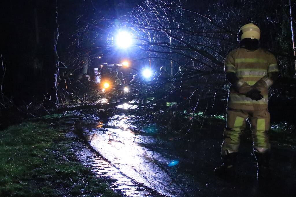 Afgebroken boom verspert weg