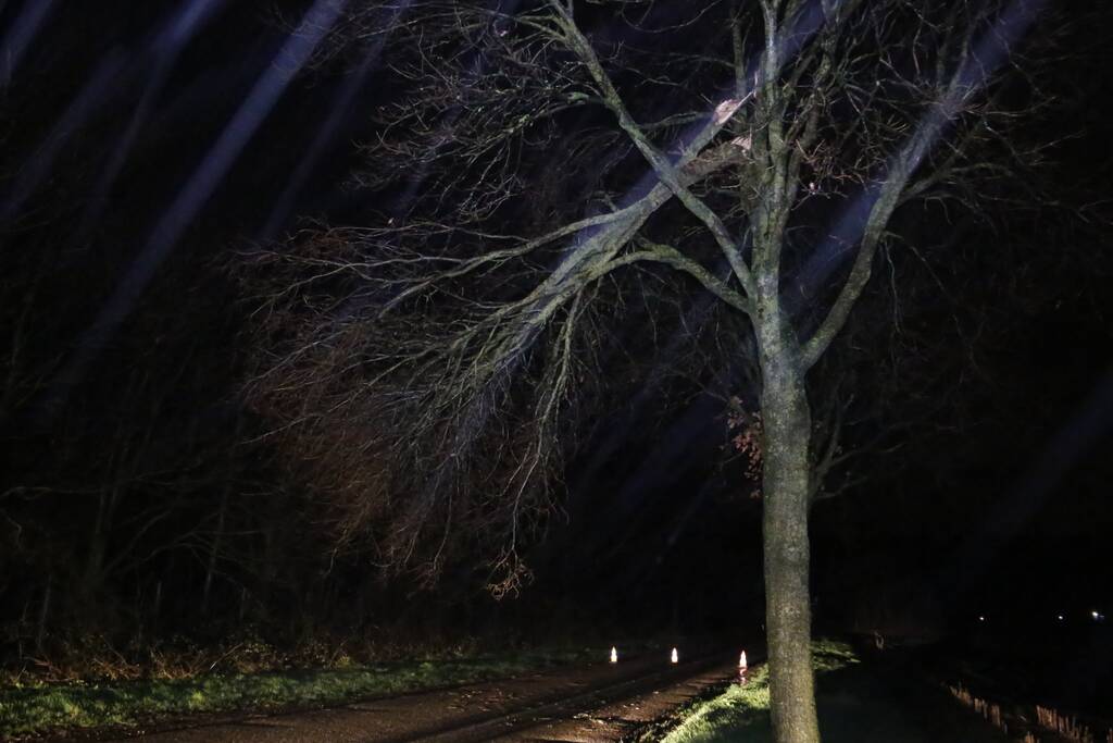 Meerdere takken gebroken