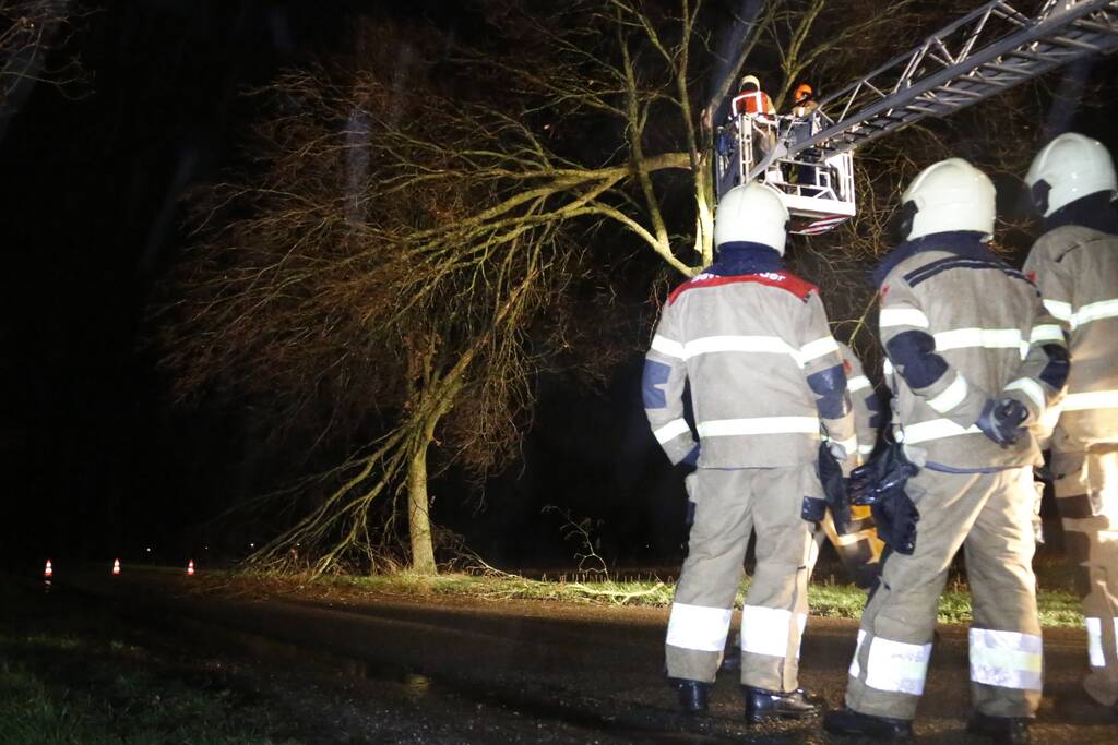 Meerdere takken gebroken