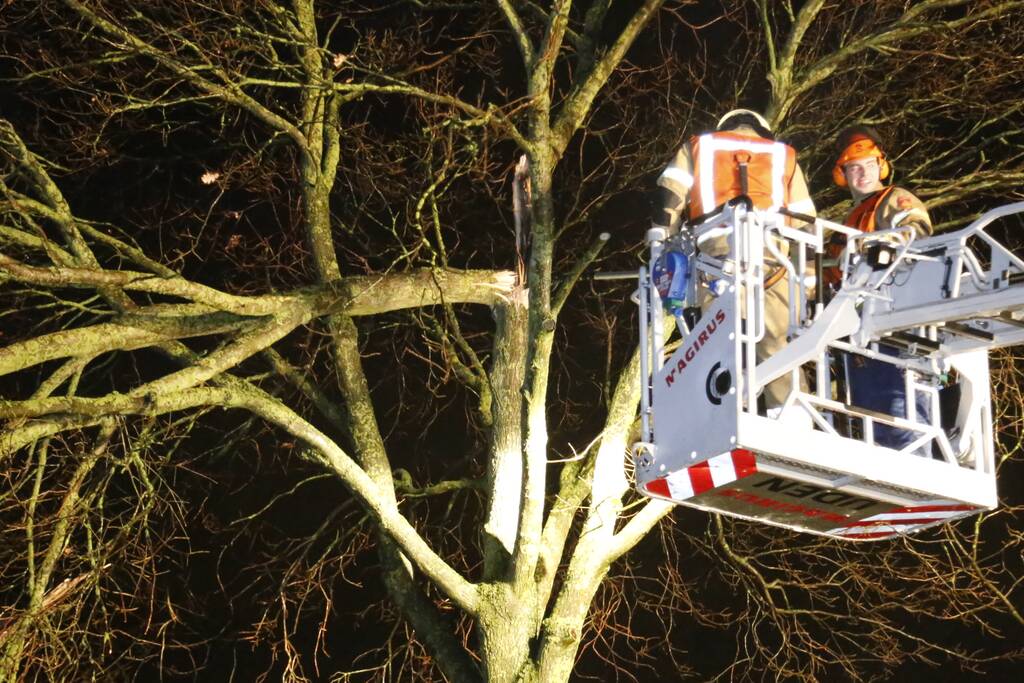 Meerdere takken gebroken