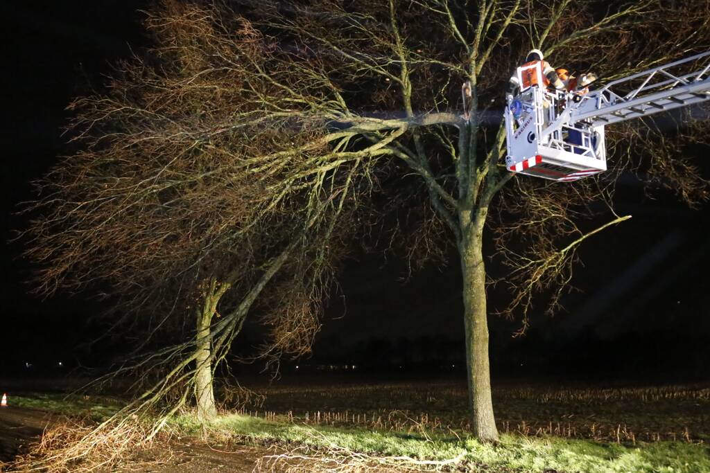 Meerdere takken gebroken