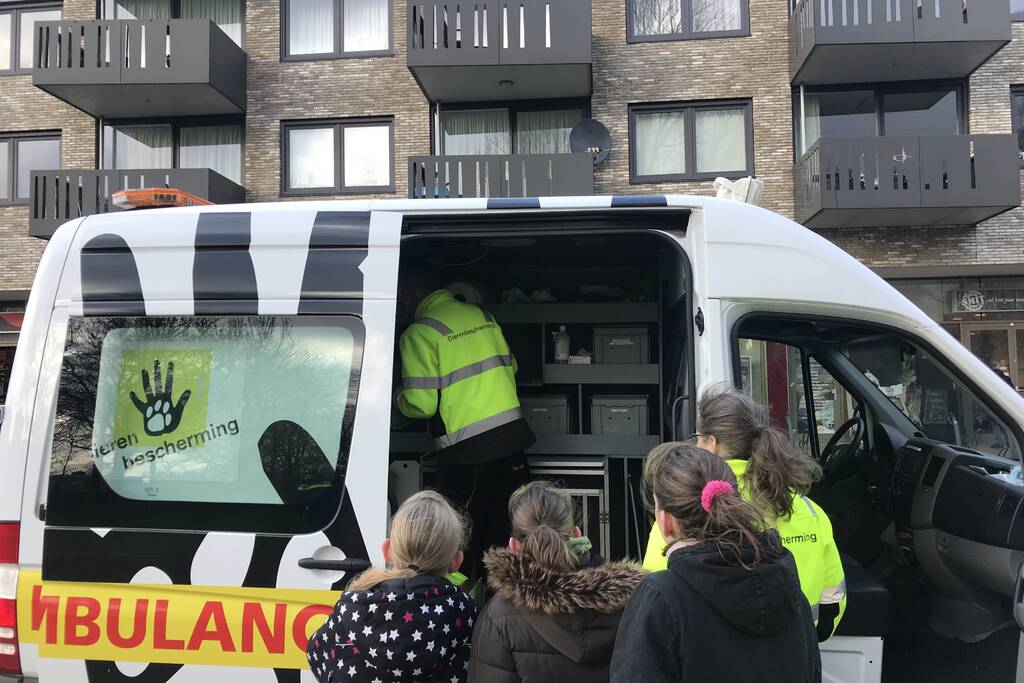 Kinderen vangen samen met politie ontsnapte hond