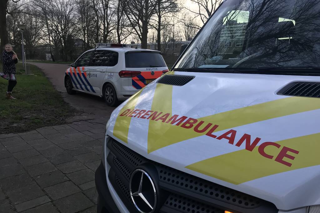 Kinderen vangen samen met politie ontsnapte hond