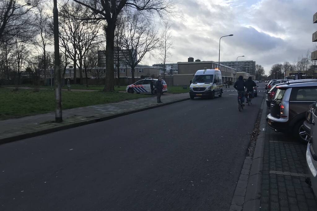Kinderen vangen samen met politie ontsnapte hond