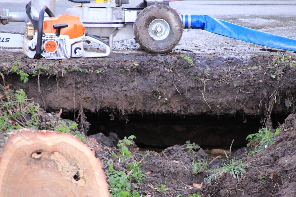 Boom gekanteld na waterleidingbreuk