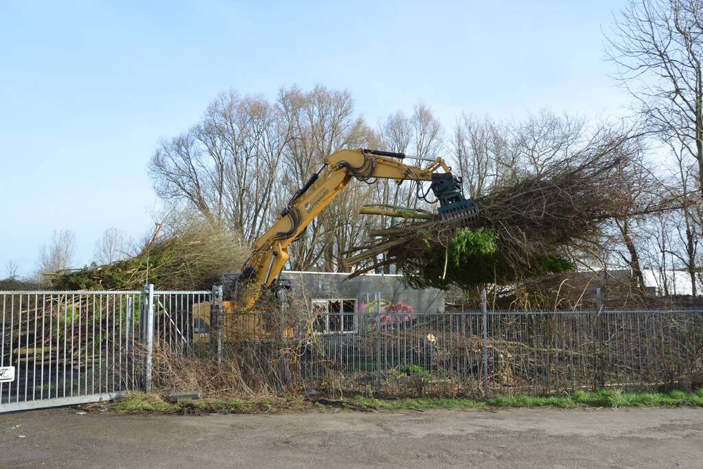 Bomen gerooid voor nieuw Cambuur Stadion