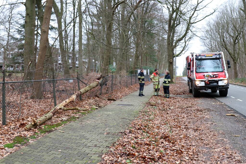Peperdure BMW fors beschadigd door omgevallen boom