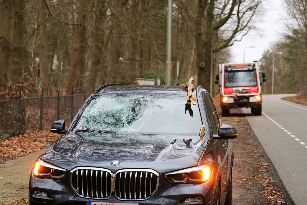 Peperdure BMW fors beschadigd door omgevallen boom