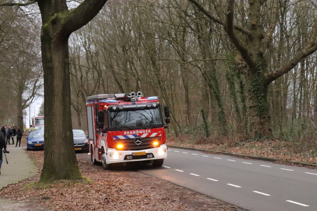 Peperdure BMW fors beschadigd door omgevallen boom