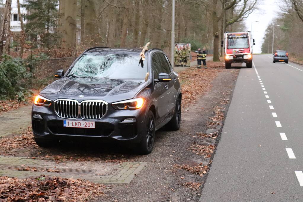 Peperdure BMW fors beschadigd door omgevallen boom