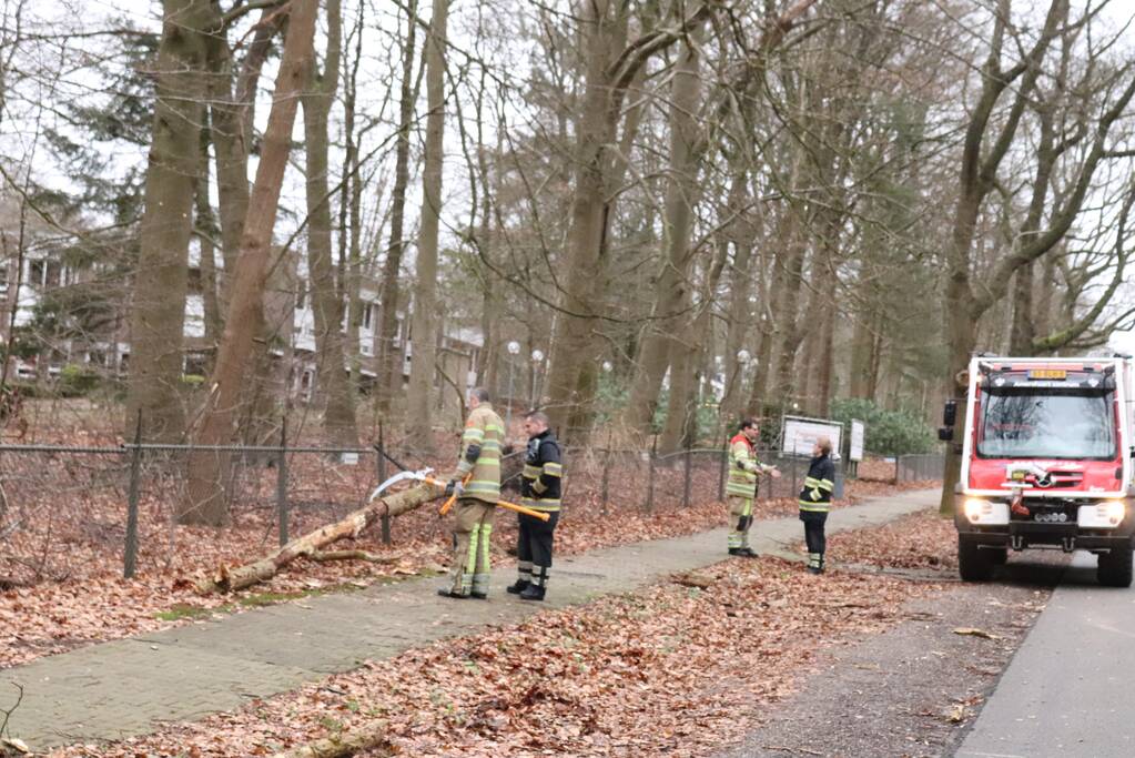 Peperdure BMW fors beschadigd door omgevallen boom