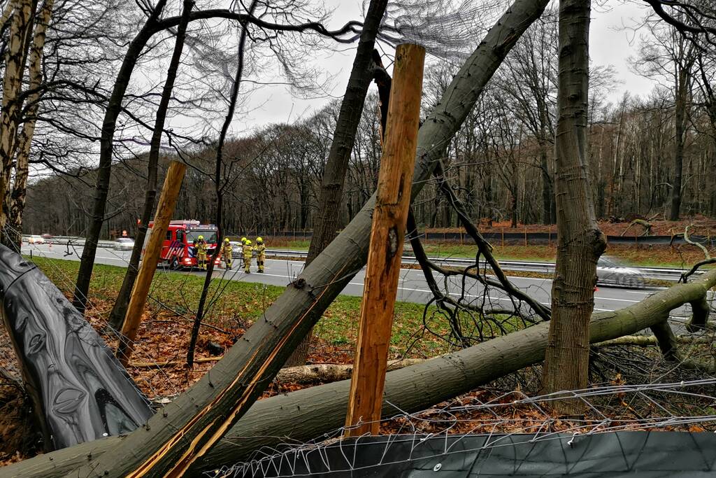Bomen naast snelweg omgevallen door storm