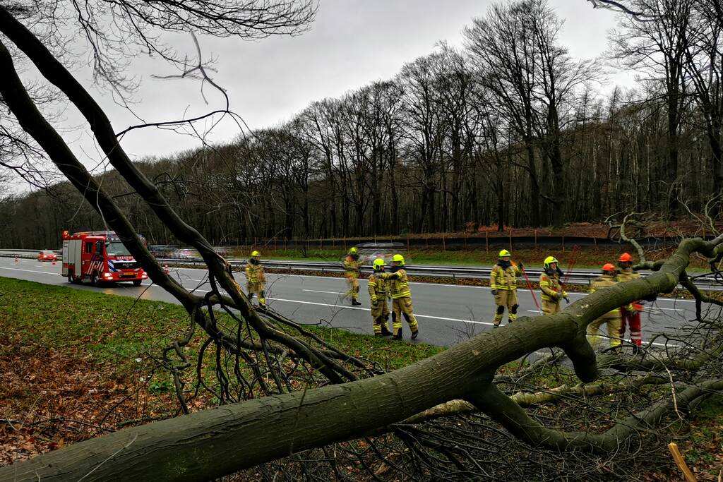 Bomen naast snelweg omgevallen door storm