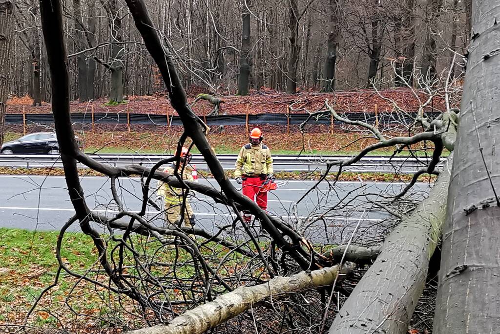 Bomen naast snelweg omgevallen door storm