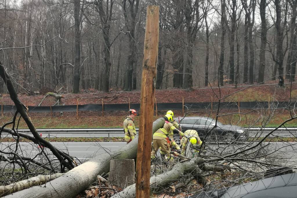 Bomen naast snelweg omgevallen door storm