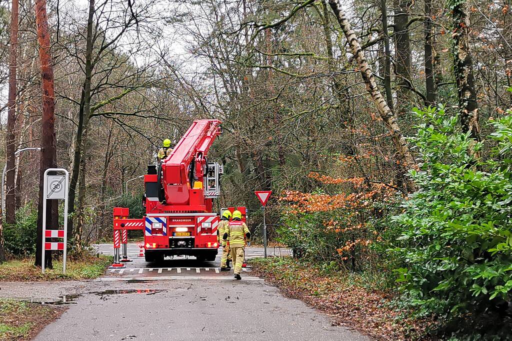 Brandweer verwijderd scheefstaande boom