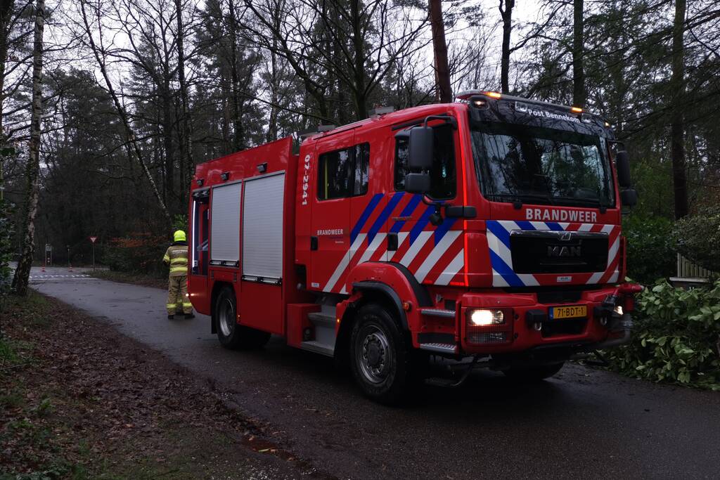 Brandweer verwijderd scheefstaande boom