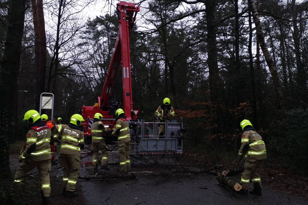 Brandweer verwijderd scheefstaande boom