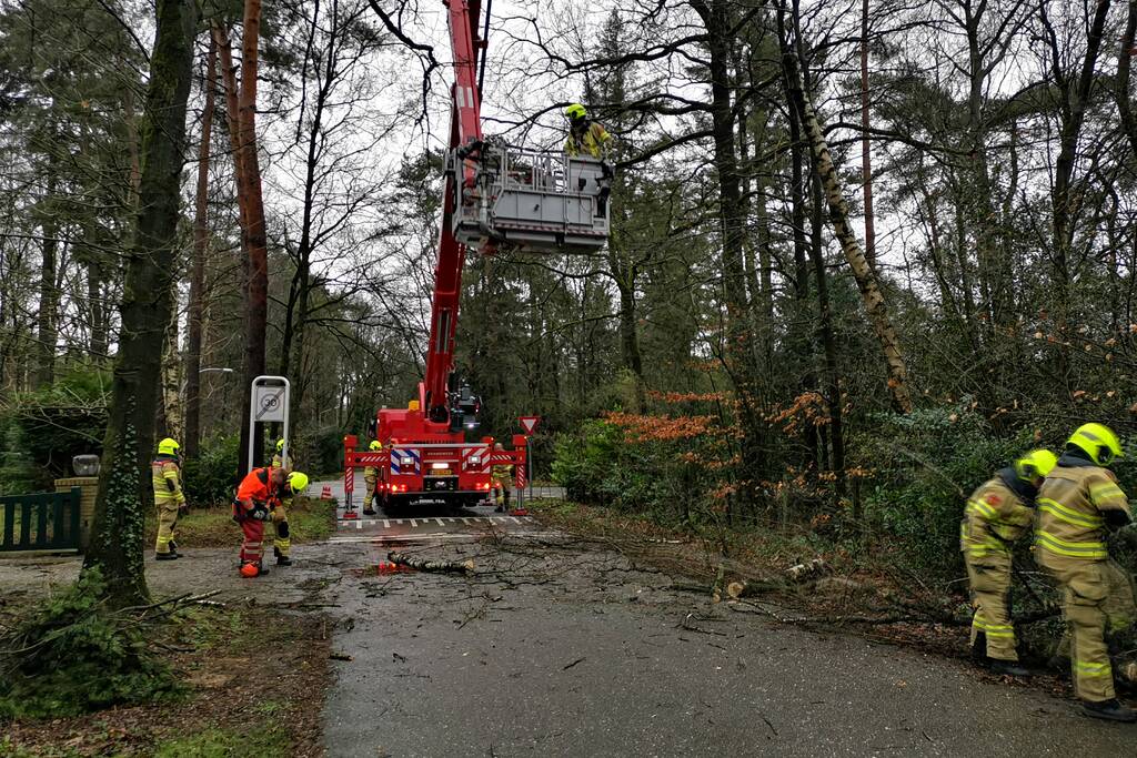 Brandweer verwijderd scheefstaande boom