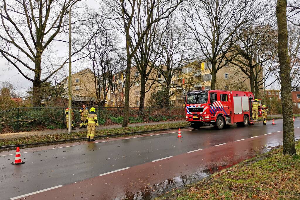 Boom valt om over rijbaan